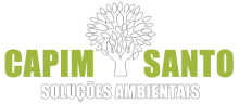 Capim Santo